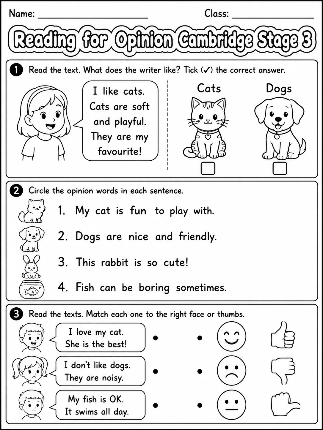 Reading for Opinion Cambridge Stage 3