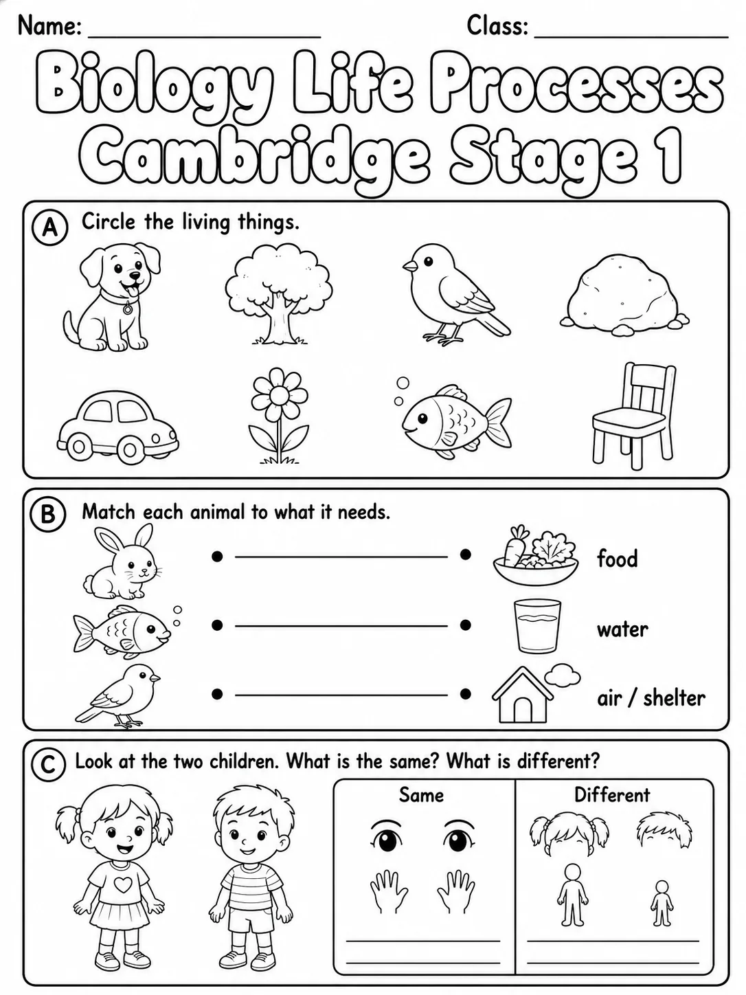 Biology Life Processes Cambridge Stage 1