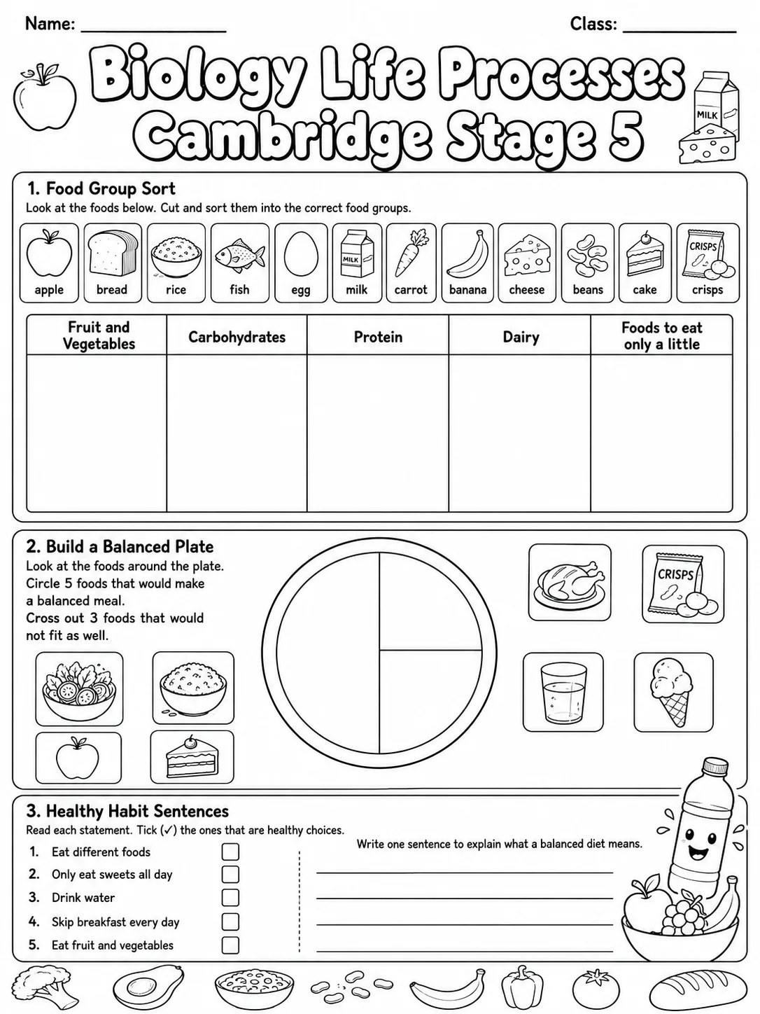 Biology Life Processes Cambridge Stage 5