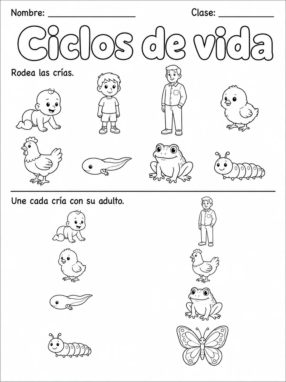 1.º grado - cuerpo humano y salud - Paquete de fichas - Conjunto 3