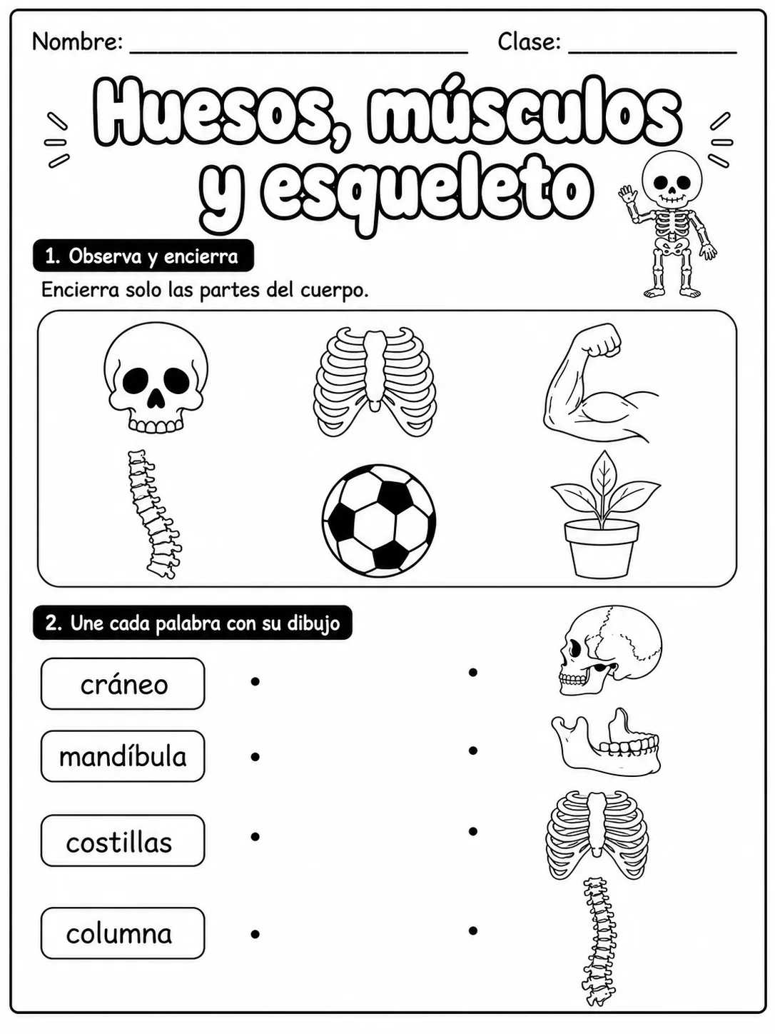 1.º grado - cuerpo humano y salud - Paquete de fichas - Conjunto 4