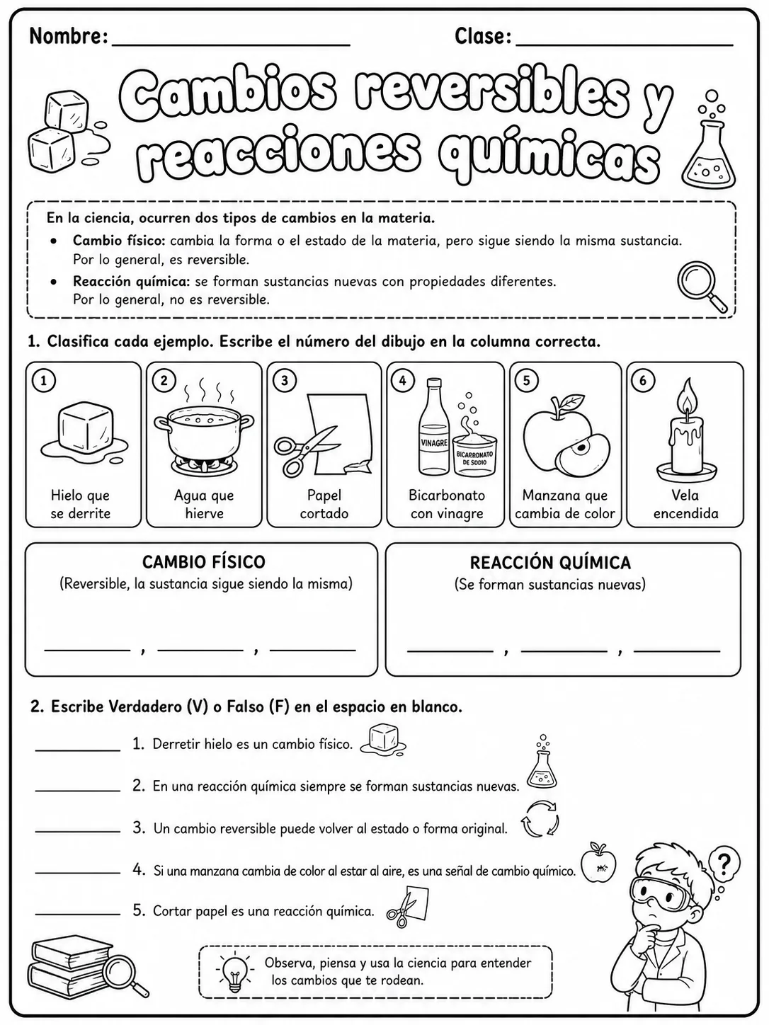 2.º grado - cuerpo humano y salud - Paquete de fichas - Conjunto 2