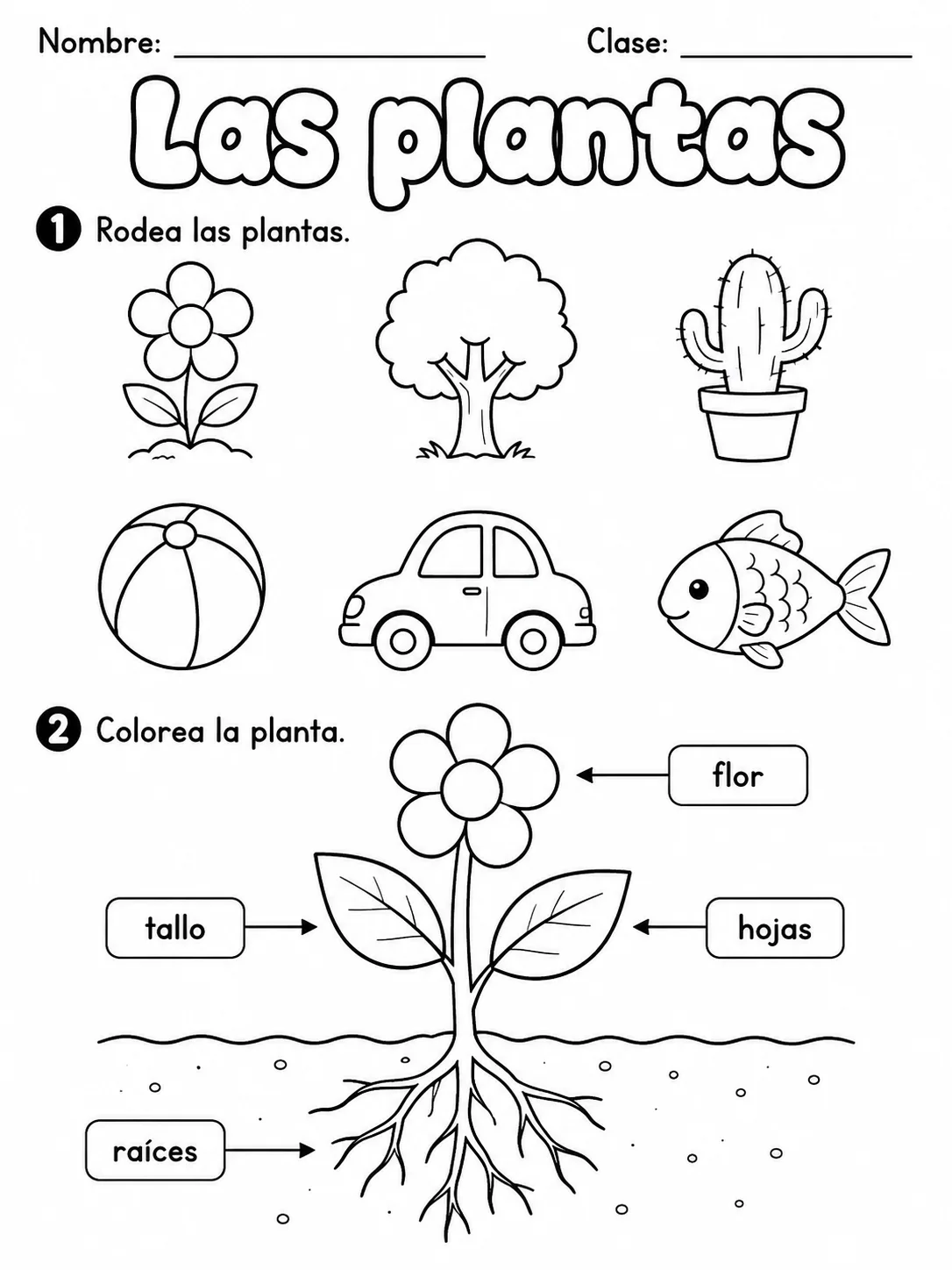 3.º grado - plantas - Paquete de fichas - Conjunto 3