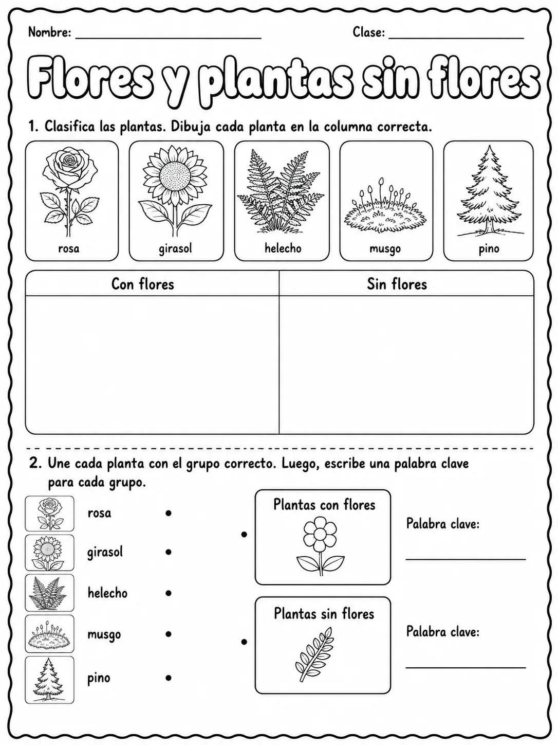 3.º grado - plantas - Paquete de fichas - Conjunto 4