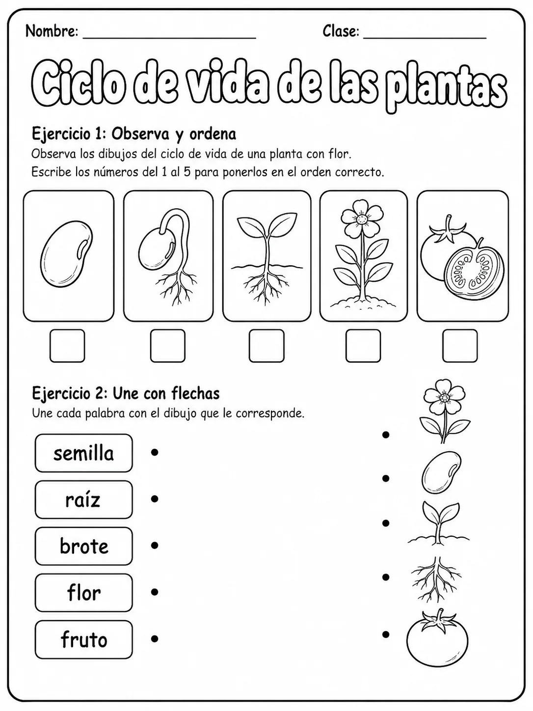 5.º grado - plantas - Paquete de fichas