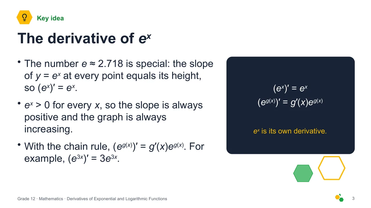 Derivatives of Exponential and Logarithmic Functions — Slide 4
