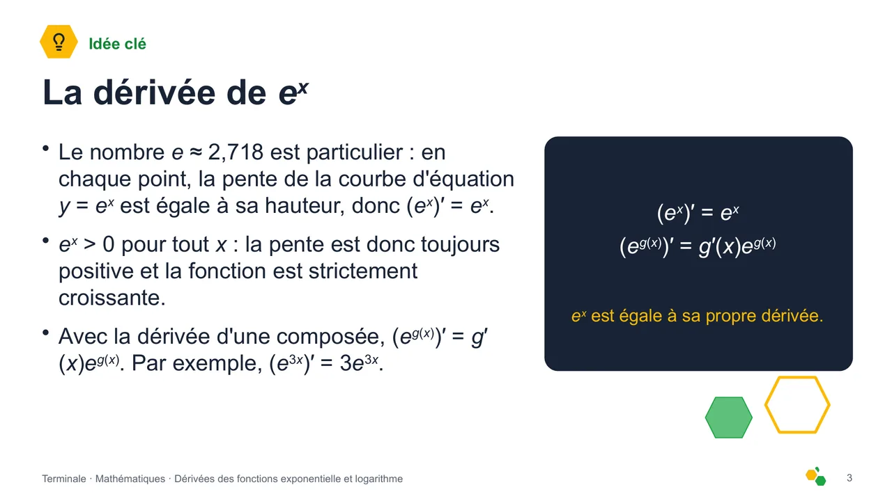 Dérivées des fonctions exponentielle et logarithme — Diapositive 4