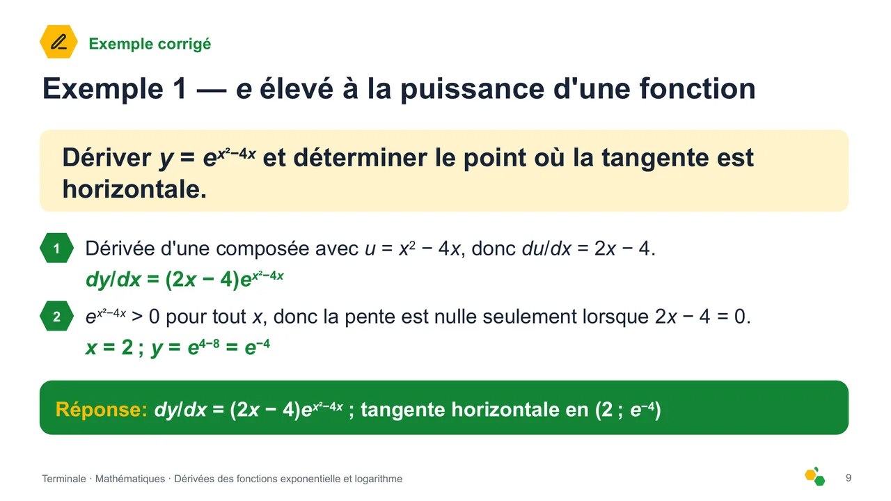 Dérivées des fonctions exponentielle et logarithme — Diapositive 10