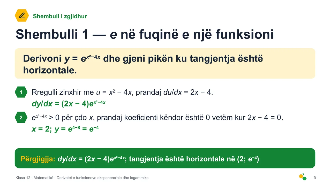 Derivatet e funksioneve eksponenciale dhe logaritmike — Slajdi 10