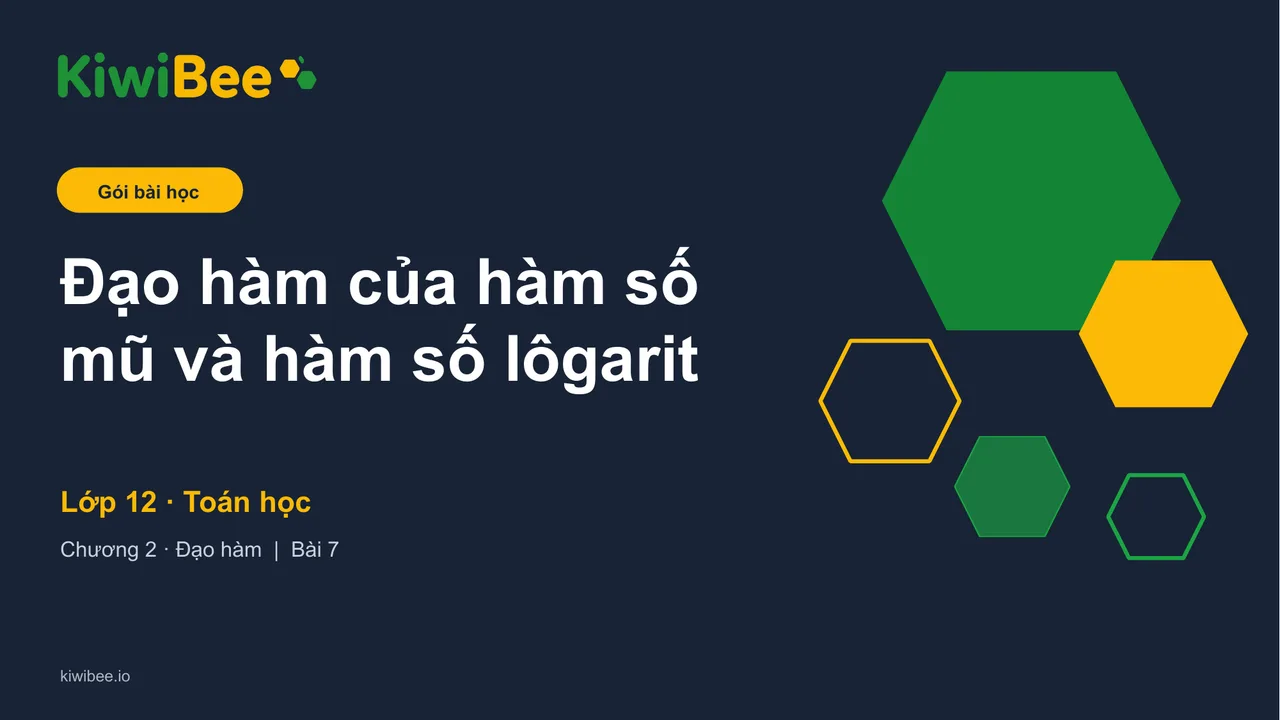 Đạo hàm của hàm số mũ và hàm số lôgarit