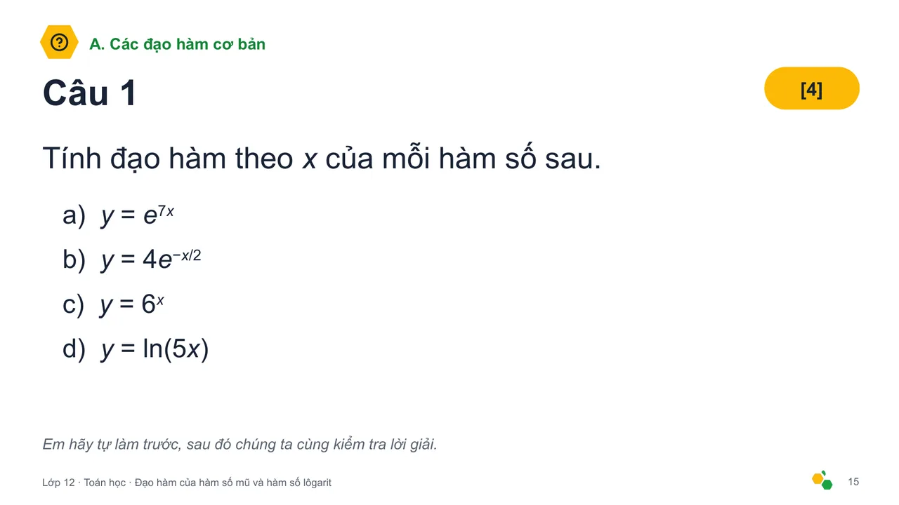 Đạo hàm của hàm số mũ và hàm số lôgarit — Trang chiếu 17