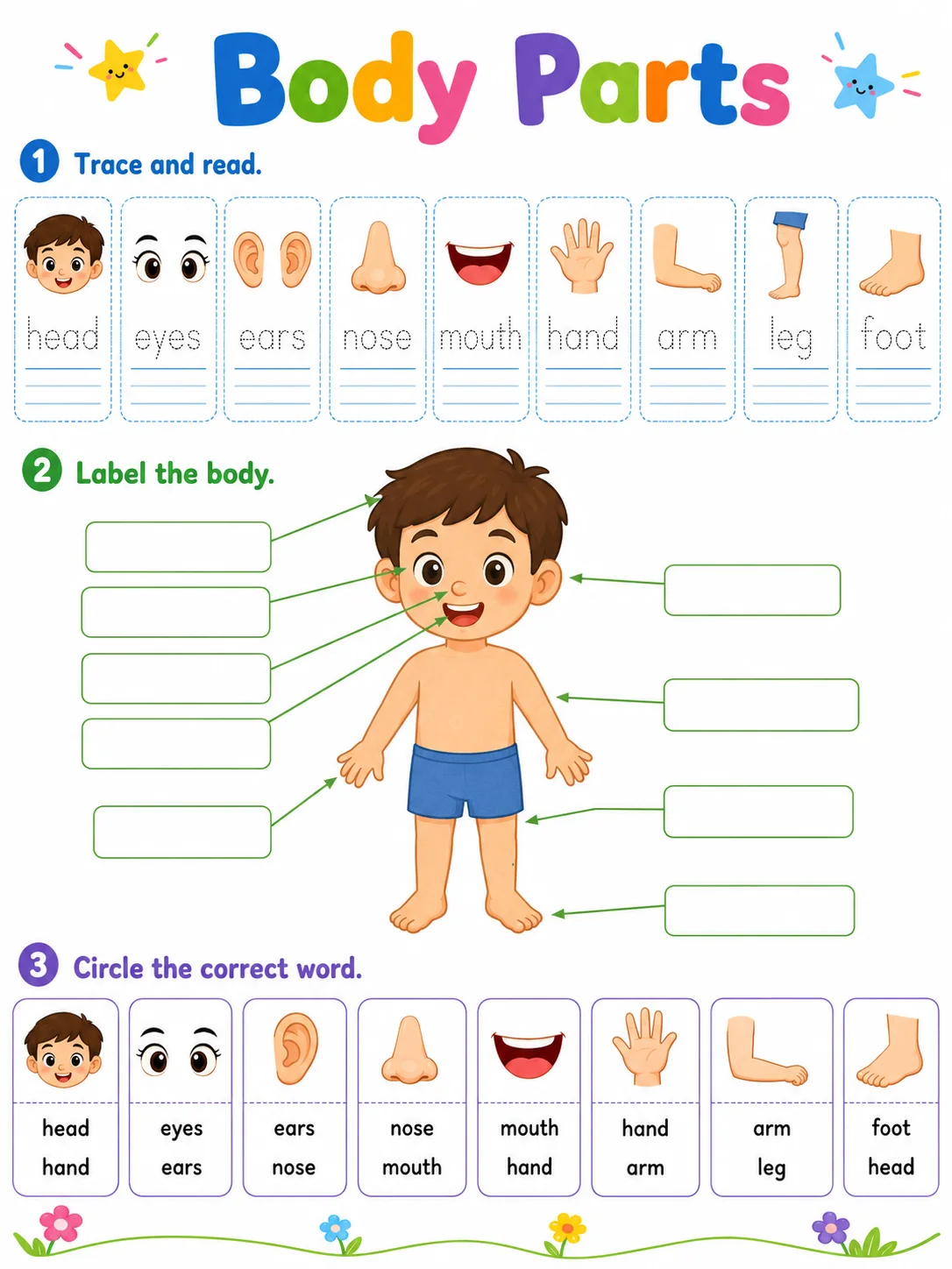 Body Parts