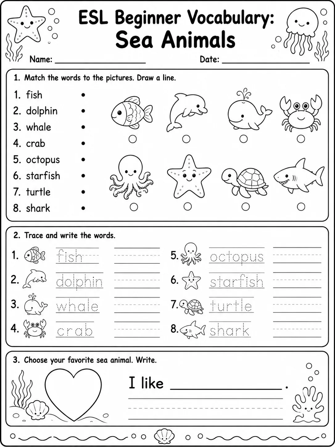 ESL Beginner Vocabulary: Sea Animals