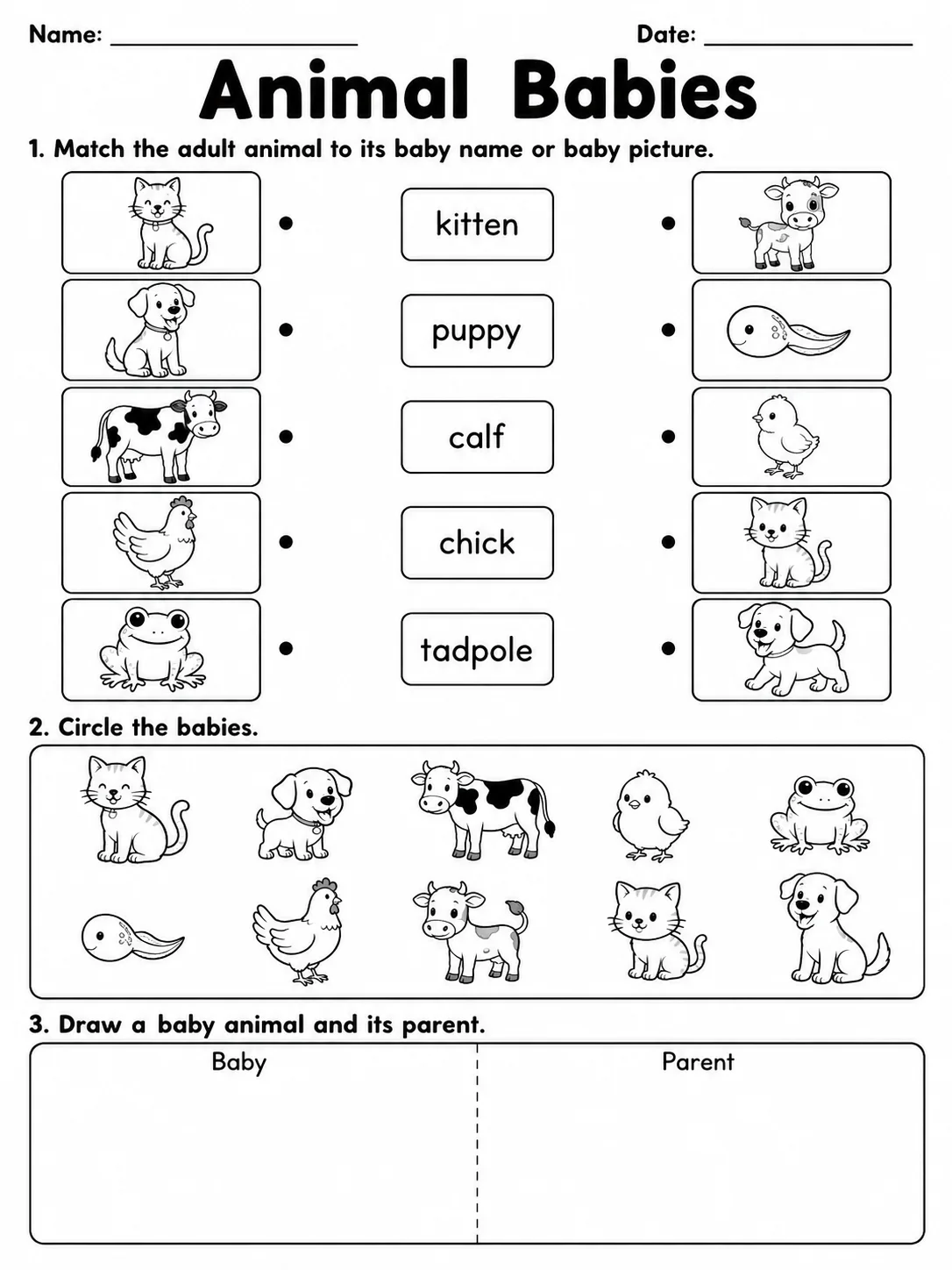 Animal Babies