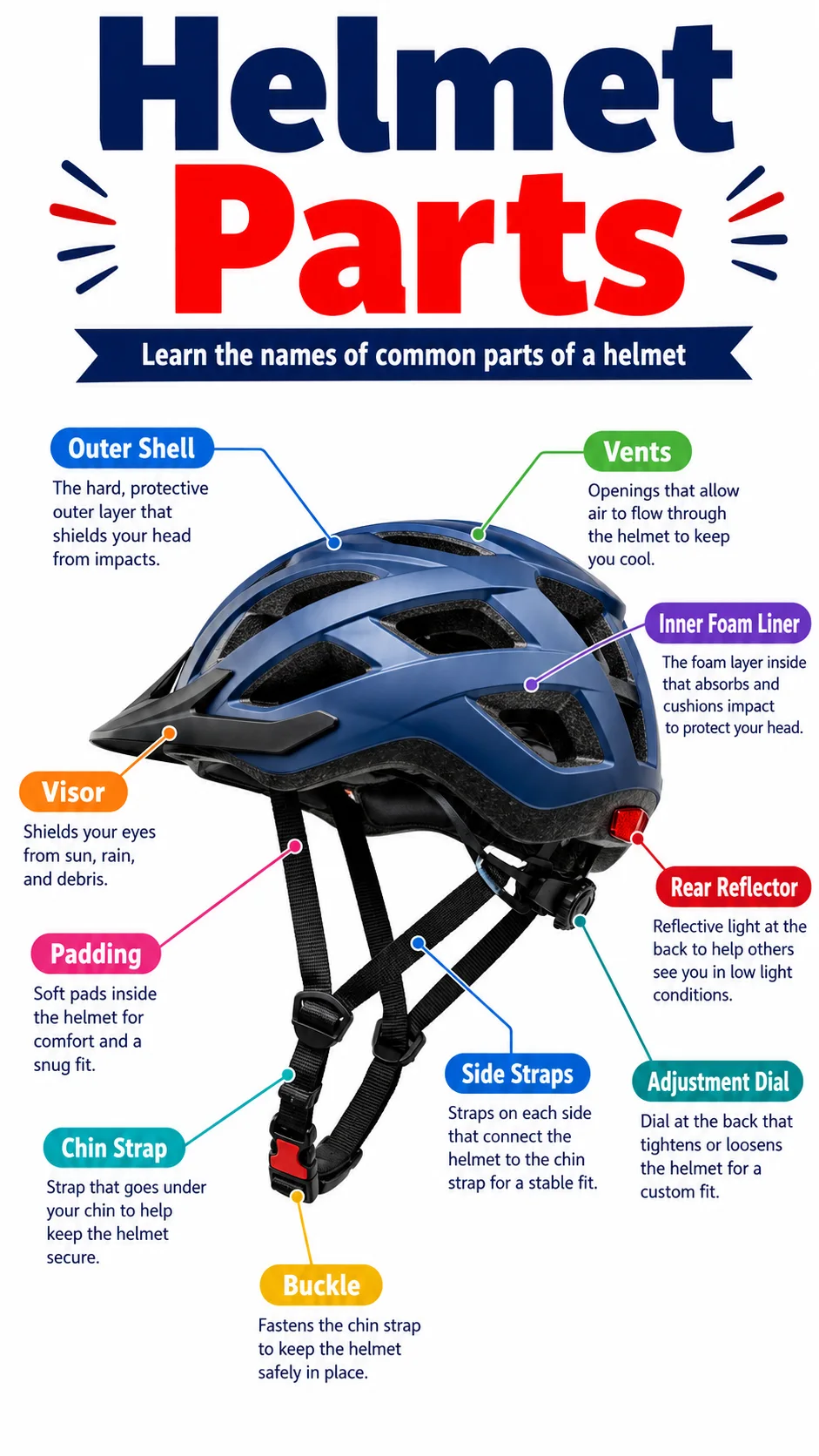Helmet Parts Infographic