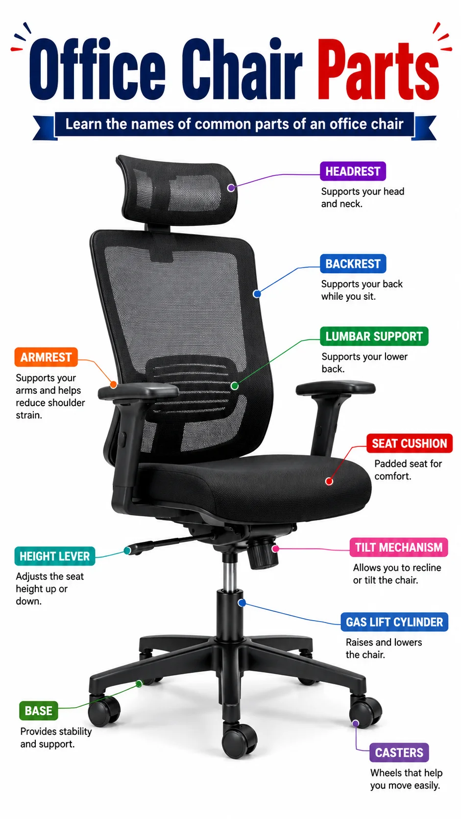 Office Chair Parts Infographic