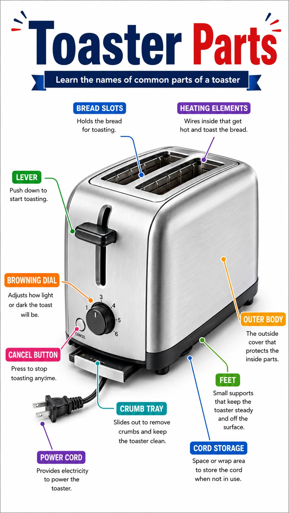 Toaster Parts Infographic