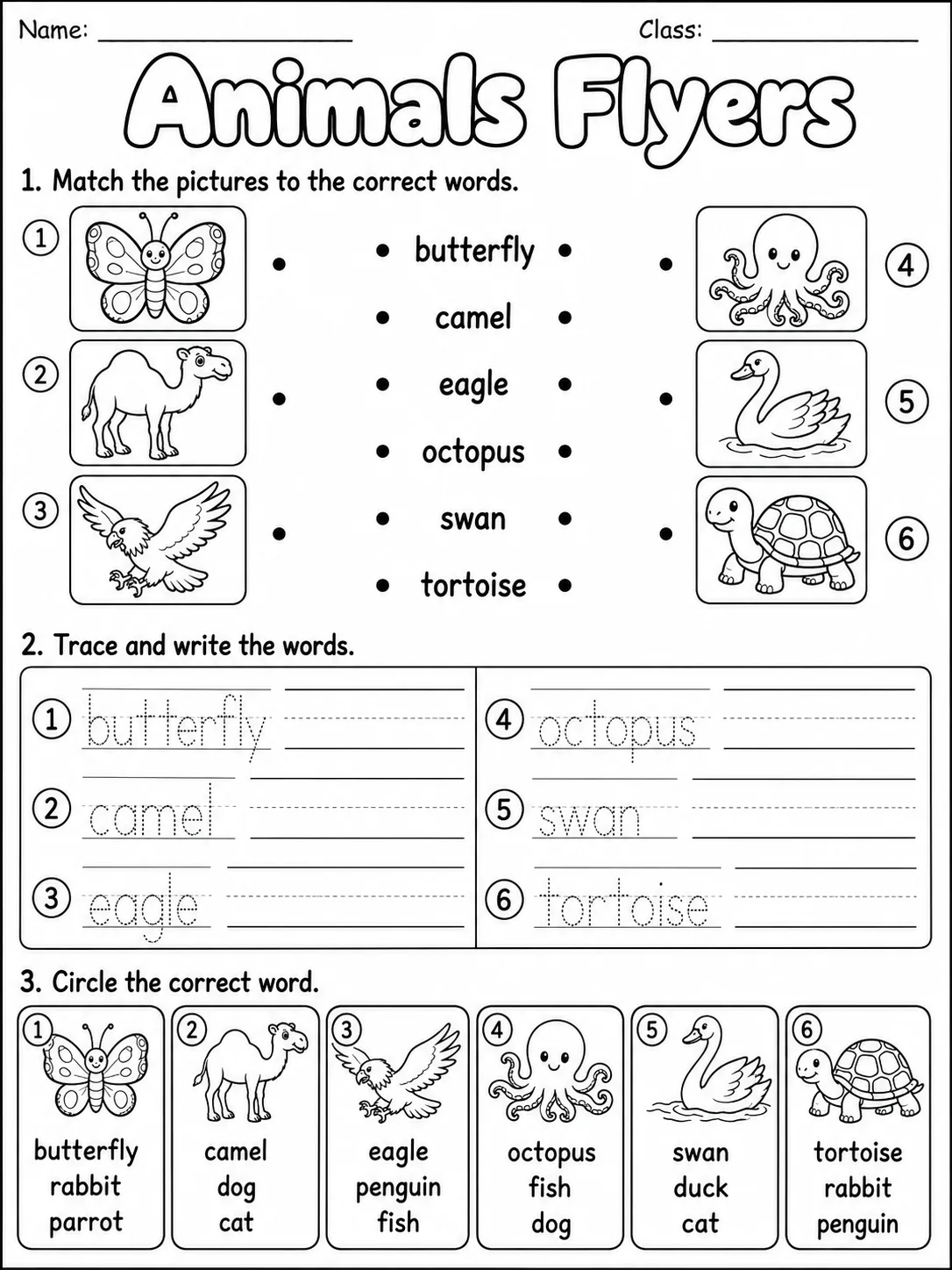 Animals Flyers Vocabulary Worksheet Pack