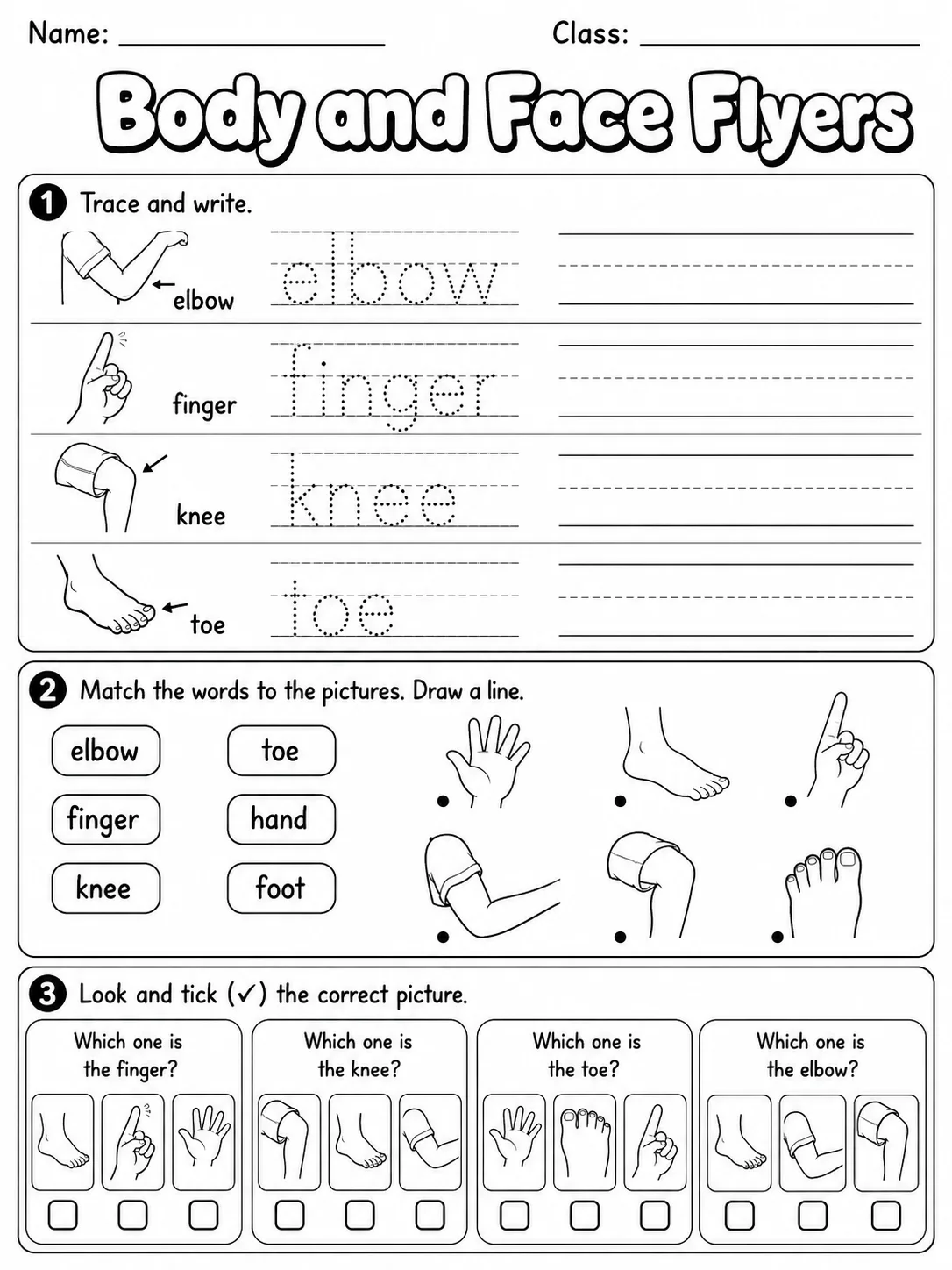 Body and Face Flyers Vocabulary Worksheet Pack