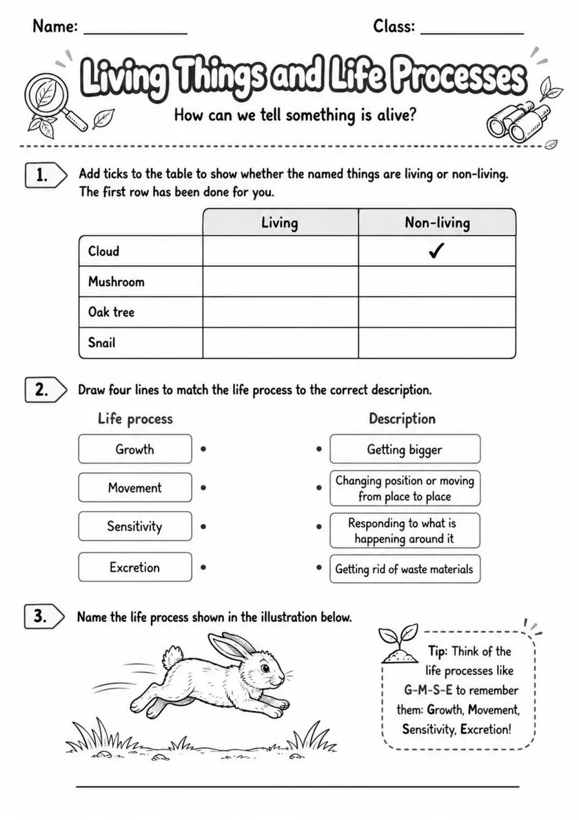 Middle School Grade 8 Life Science Worksheets - Pack 1 grade 8 printable PDF preview