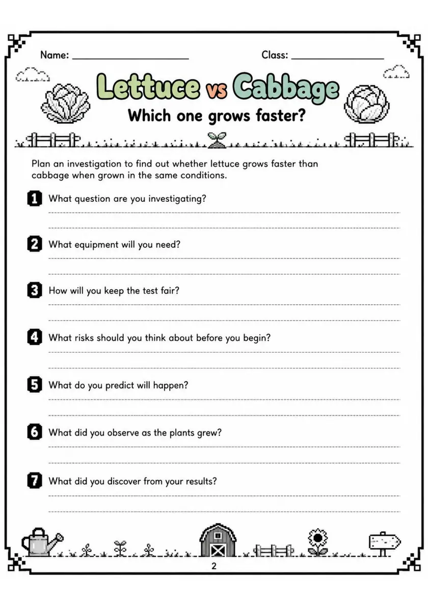 Lettuce vs Cabbage - Grade 3 Science Worksheet grade 3 printable PDF preview