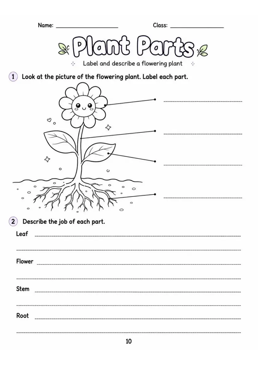 Plant Parts - Grade 3 Science Worksheet grade 3 printable PDF preview