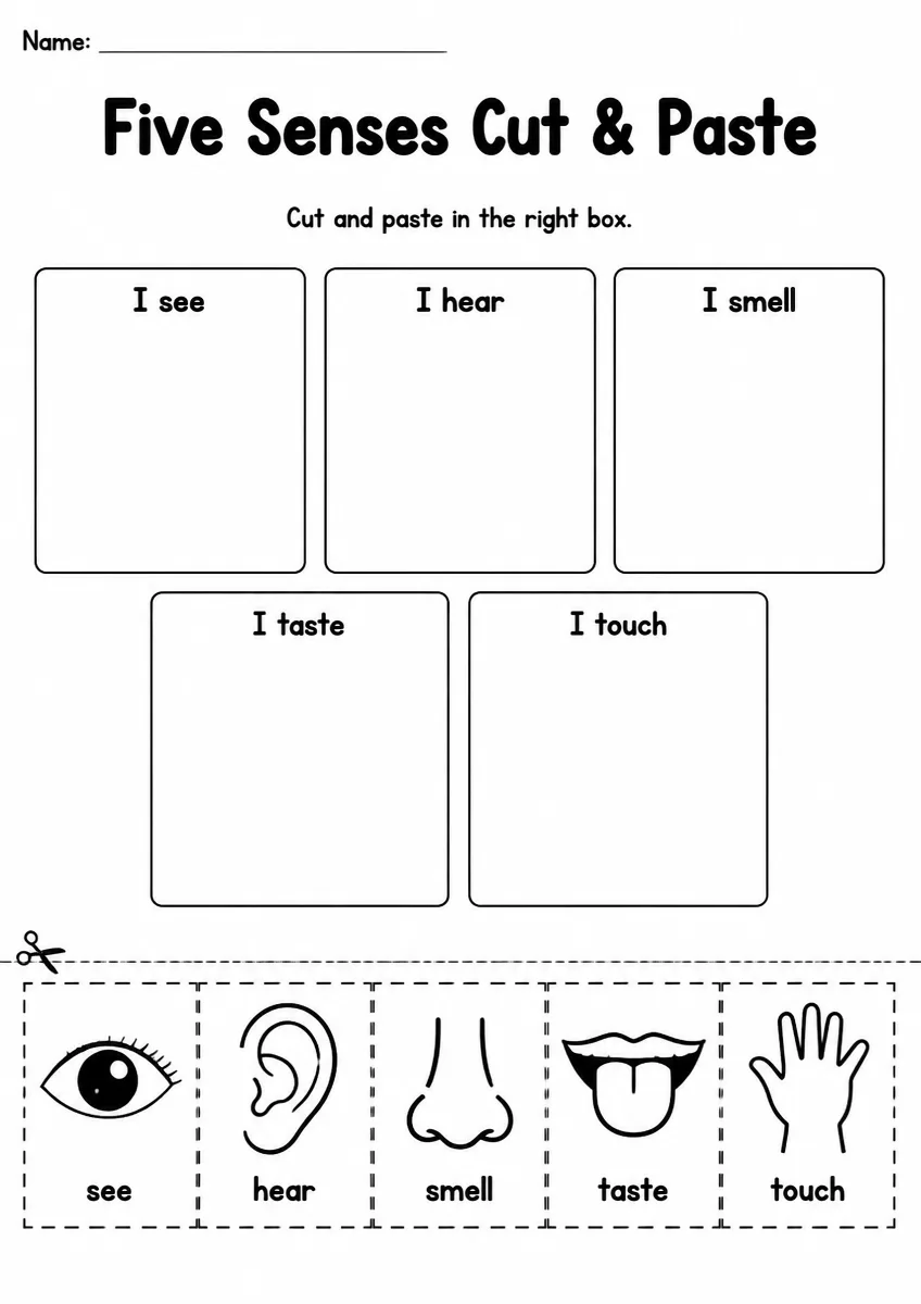 Five Senses Cut & Paste — Grade 2