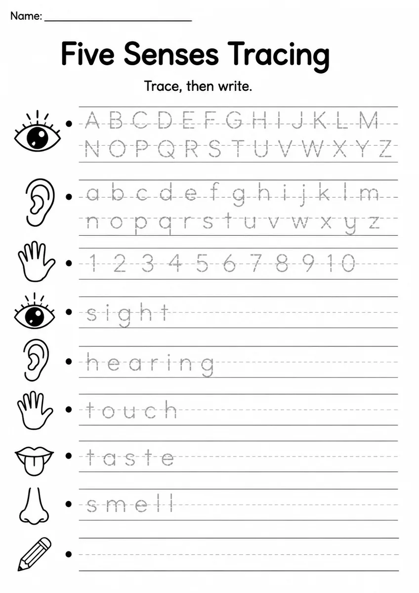 Five Senses Tracing — Grade 2